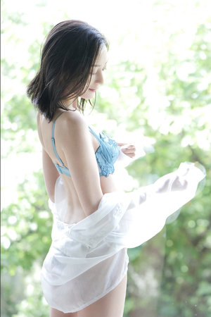 粉蝶手中的纸老虎